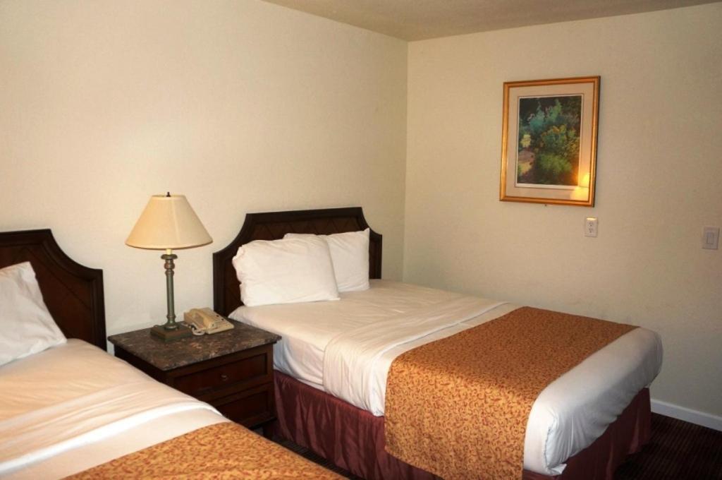 Waterford Inn Ngoại thất bức ảnh